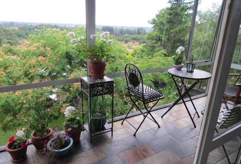 Bed and Breakfast Casa Kiwi 5