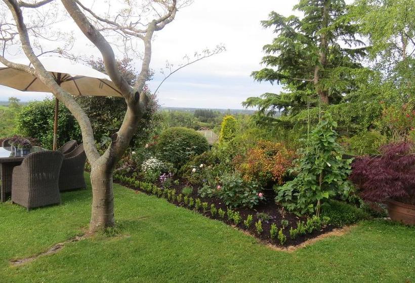 Bed and Breakfast Casa Kiwi 6