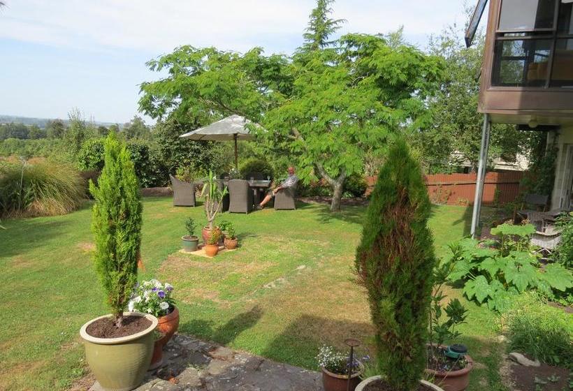 Bed and Breakfast Casa Kiwi 7