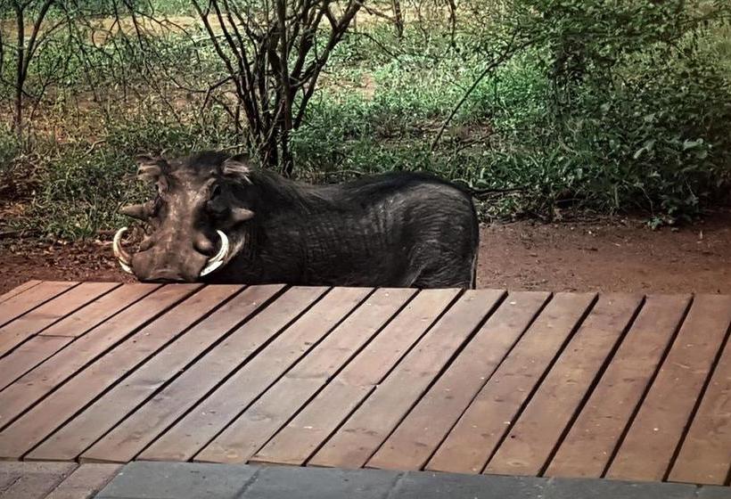 Switsongo Boutique B&b 13