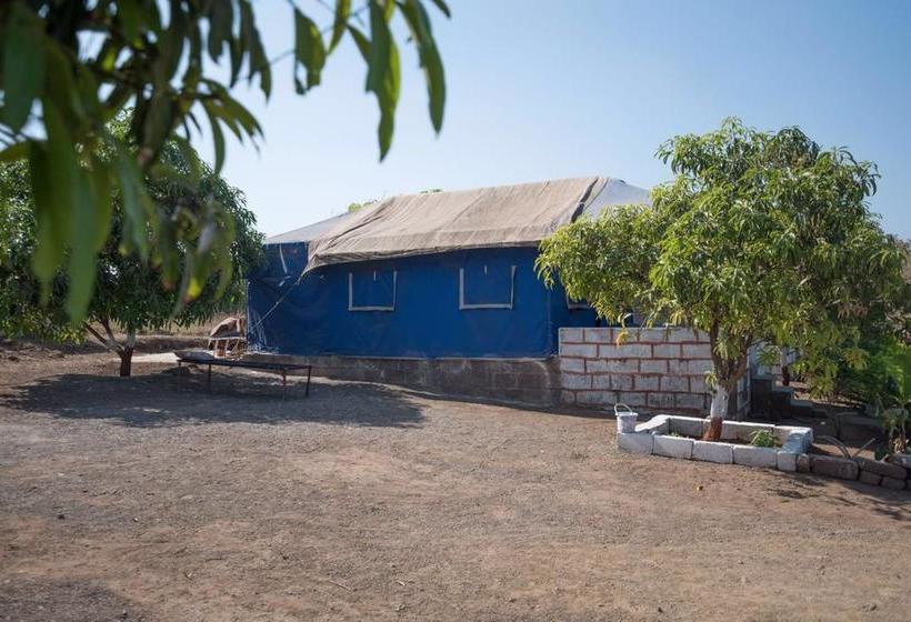 Resort Patel Farmhouse And Restaurant 12