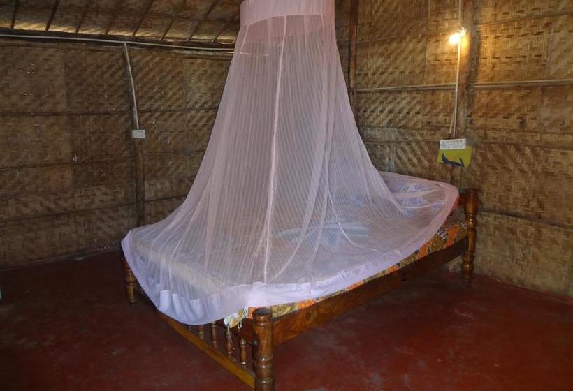 Hotel Silent Resort 16