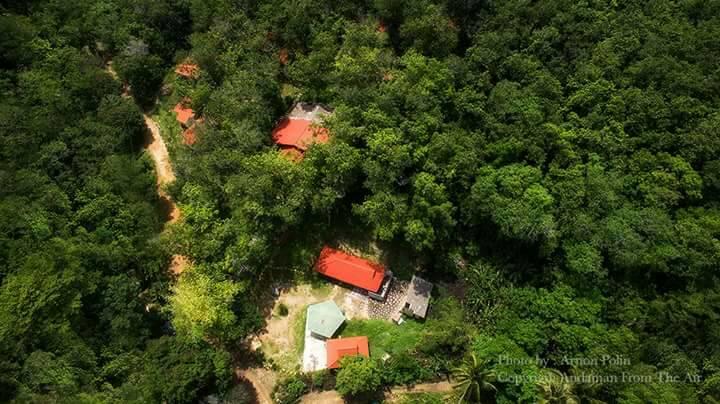 Resort Koh Mook Rubber Tree Bungalows 12