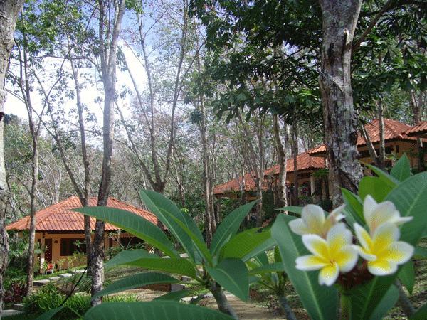 Resort Koh Mook Rubber Tree Bungalows 13