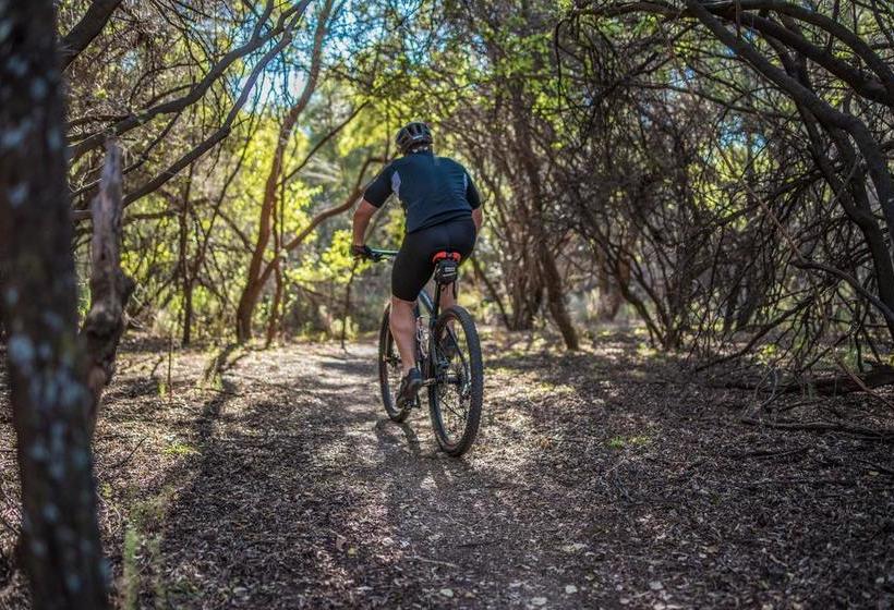 Hotel The Royal Fischer 19