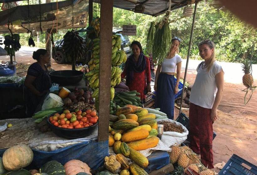 Bed and Breakfast Marari Garden Home 11