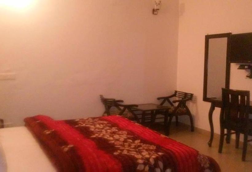 Hotel Salt And Bites