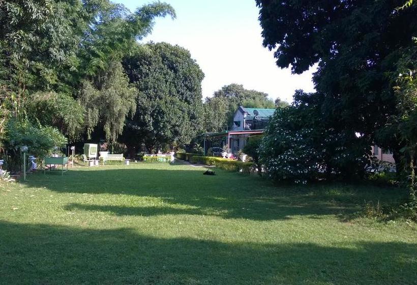 Bed and Breakfast Gharonda 1