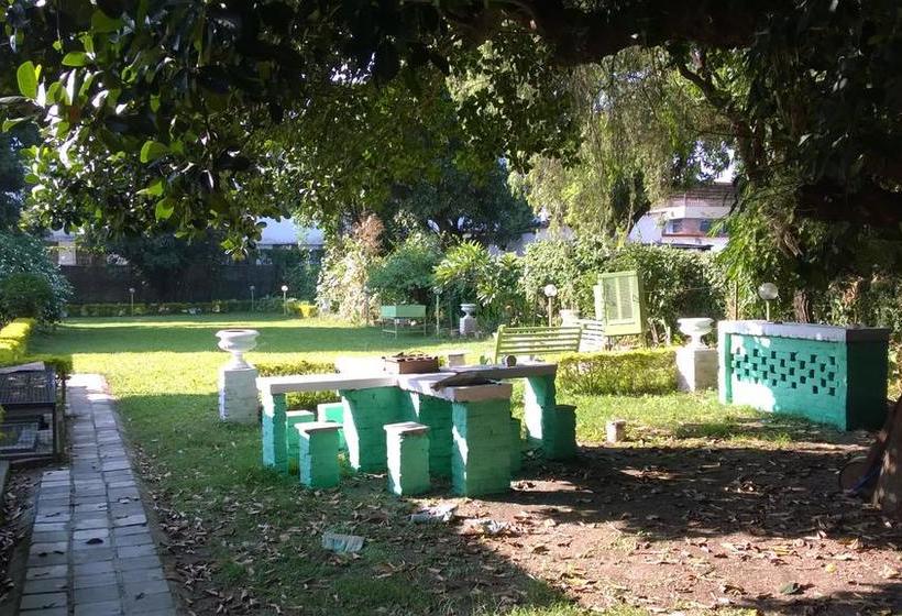 Bed and Breakfast Gharonda 10