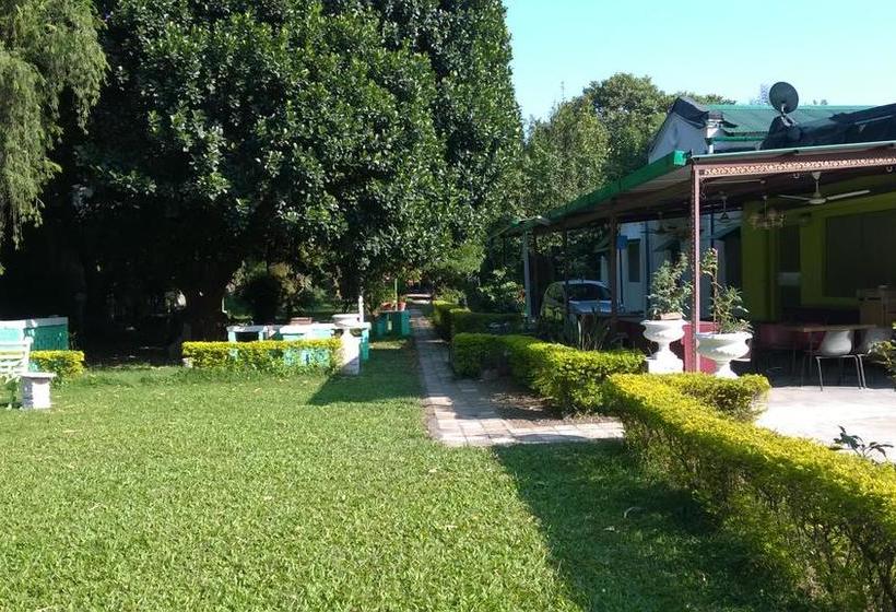 Bed and Breakfast Gharonda 2