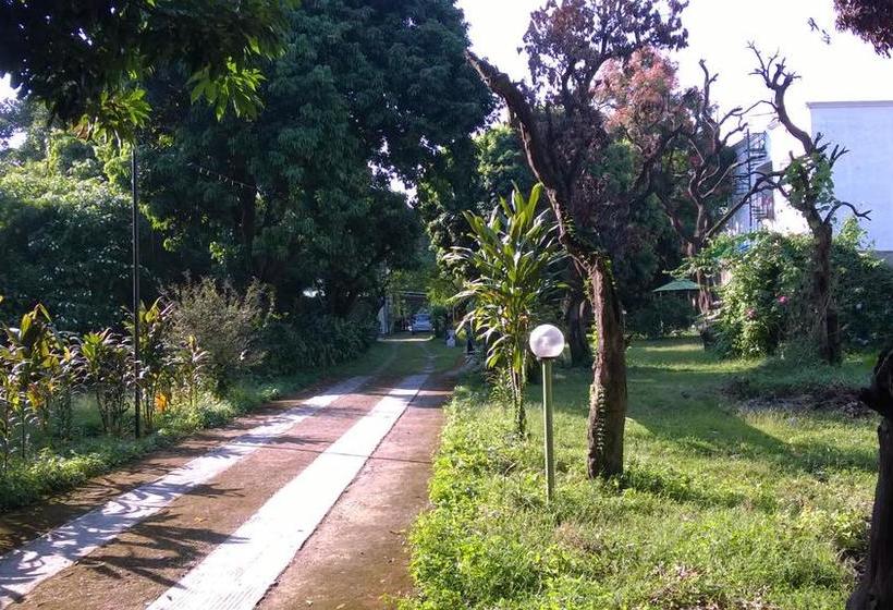 Bed and Breakfast Gharonda 5