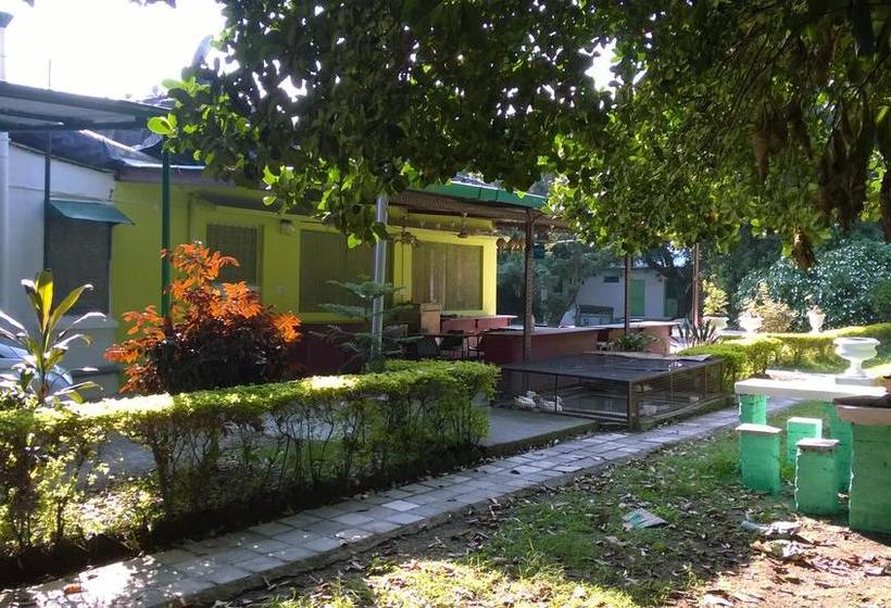 Bed and Breakfast Gharonda 9