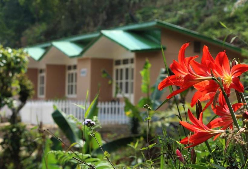 Hotel The Silk Route Retreat 5