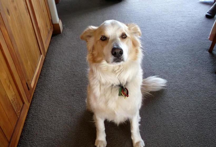 Bed and Breakfast Fenton Farmstay 1