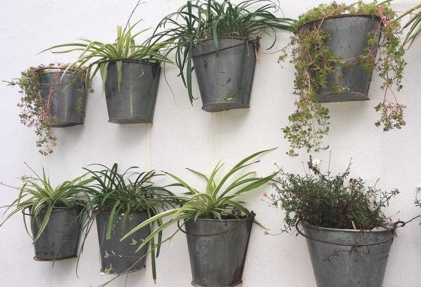 Houghton Estate B&b Gauteng