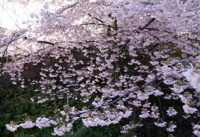 Bed and Breakfast Tempest On Wanaka