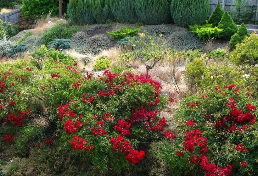 Bed and Breakfast Tempest On Wanaka 12