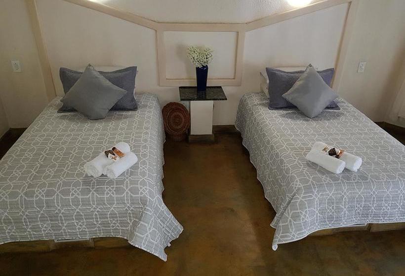 Bed and Breakfast Shingalana Guest House 10