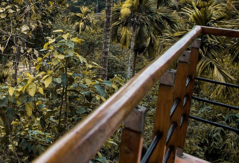 Hostel Hibernest Kalpetta 8