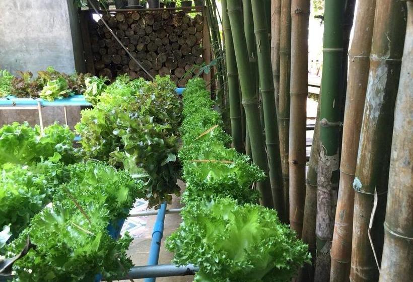 Hotel Mingalarpar 12