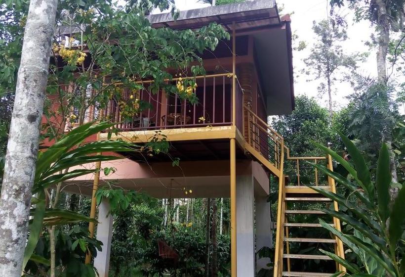 Resort Wayanad Green Park 11