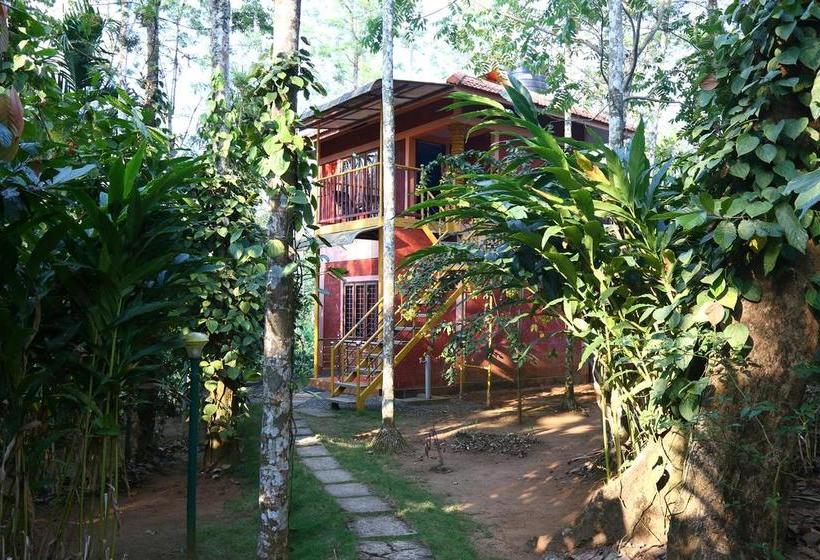 Resort Wayanad Green Park 12