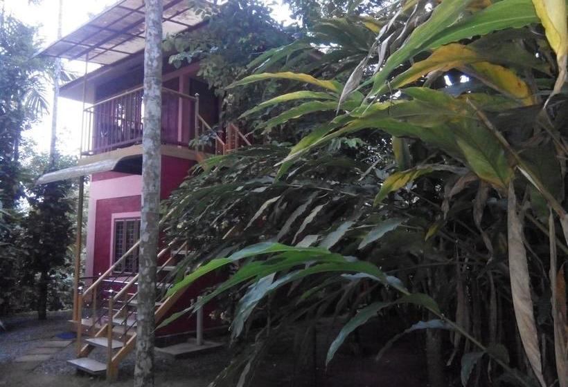 Resort Wayanad Green Park 13