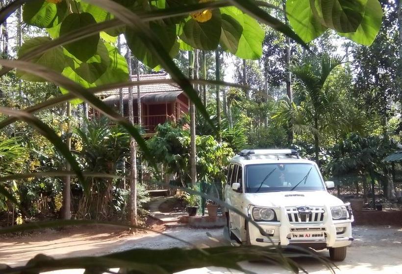 Resort Wayanad Green Park 18