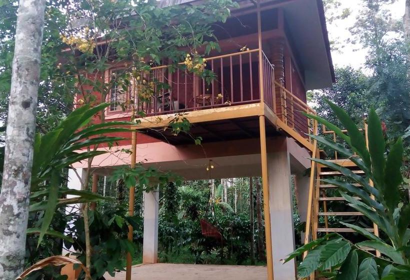 Resort Wayanad Green Park 2