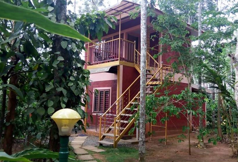 Resort Wayanad Green Park 4