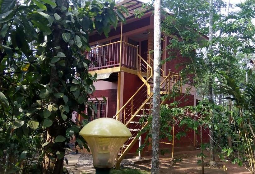 Resort Wayanad Green Park 6