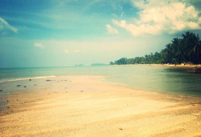 Bed and Breakfast Dikkenek 4