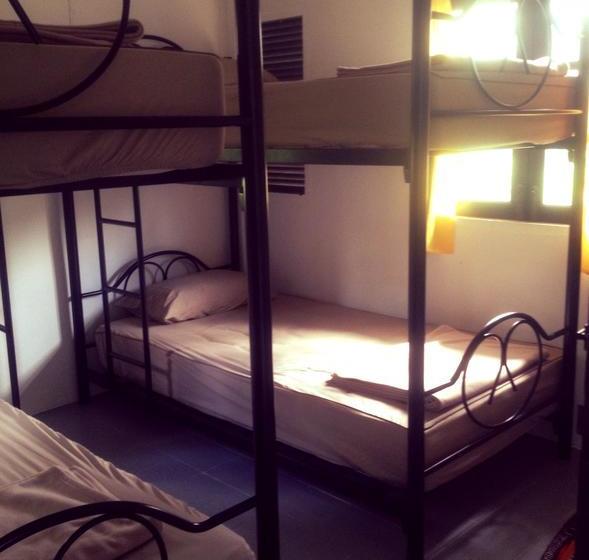 Bed and Breakfast Dikkenek 6