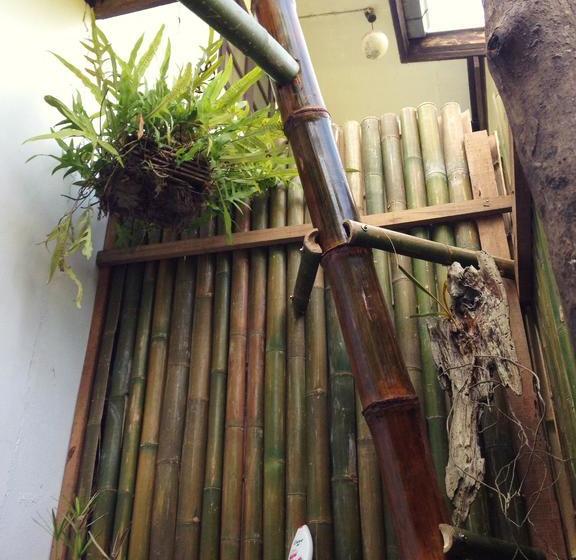 Bed and Breakfast Dikkenek 8