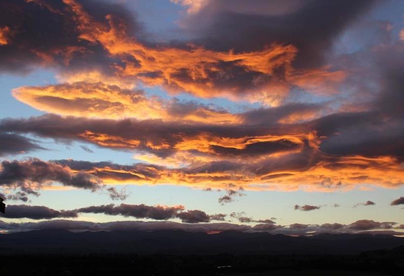 Bed and Breakfast Gallin Farm Alpacas And Farmstay 12