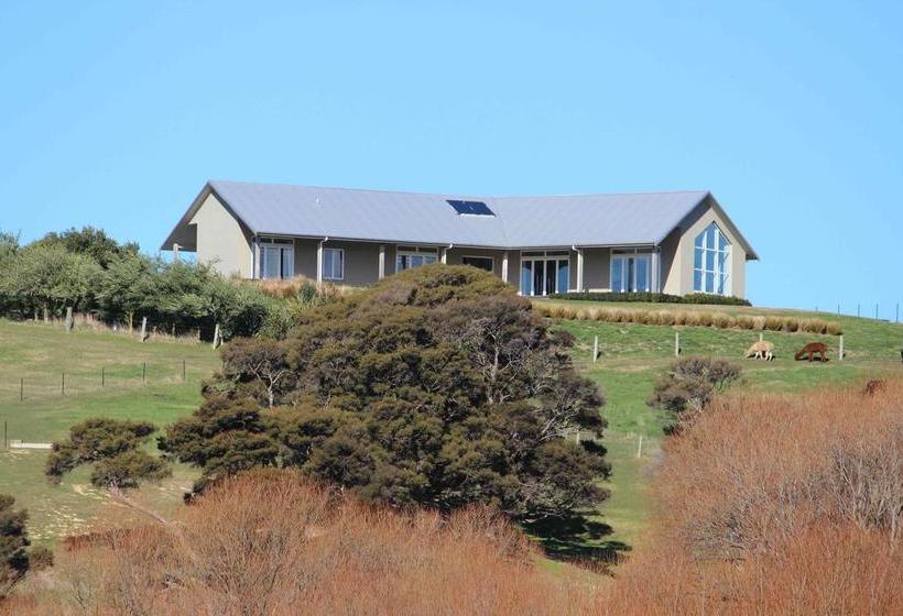 Bed and Breakfast Gallin Farm Alpacas And Farmstay 3