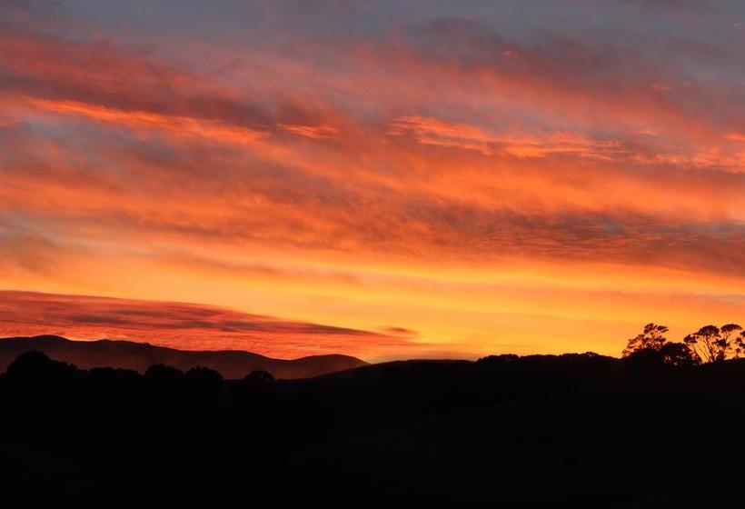 Bed and Breakfast Gallin Farm Alpacas And Farmstay 7