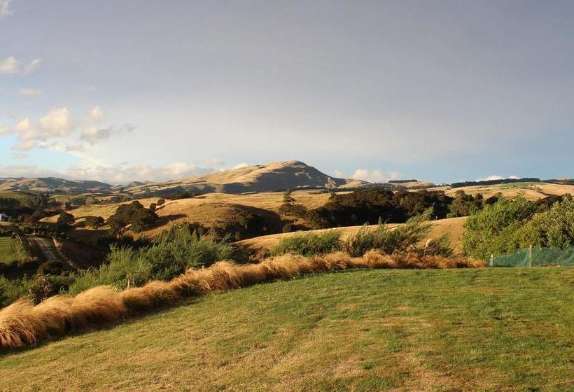 Bed and Breakfast Gallin Farm Alpacas And Farmstay 9