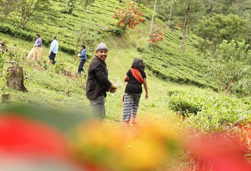 Resort Jungle Book Retreat