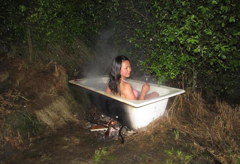 Aoraki Cottage B&b/farm Stay 14