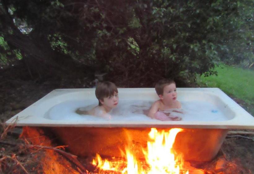 Aoraki Cottage B&b/farm Stay 15