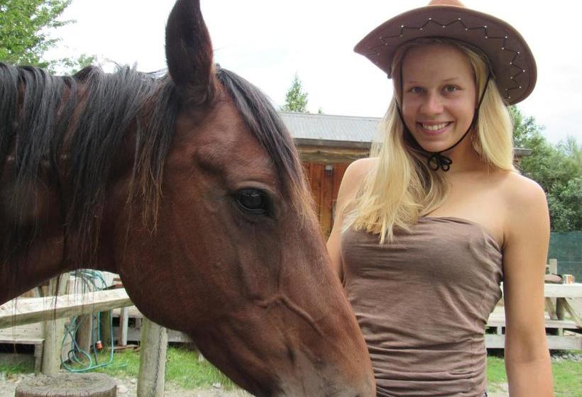 Aoraki Cottage B&b/farm Stay 18