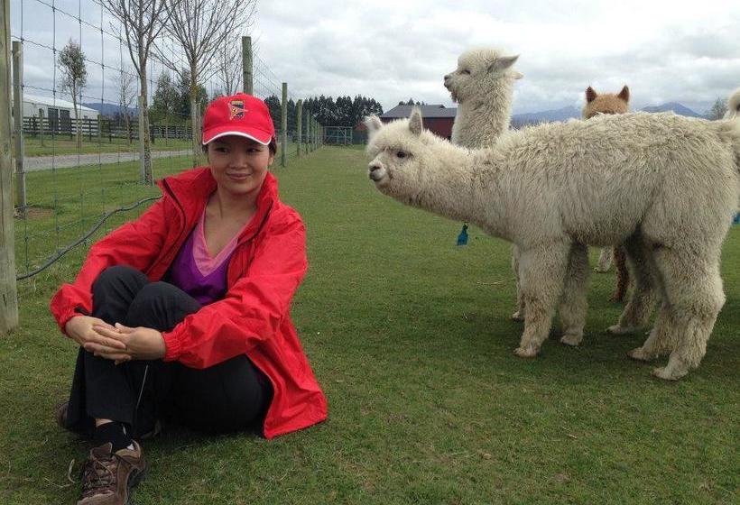 Aoraki Cottage B&b/farm Stay 3