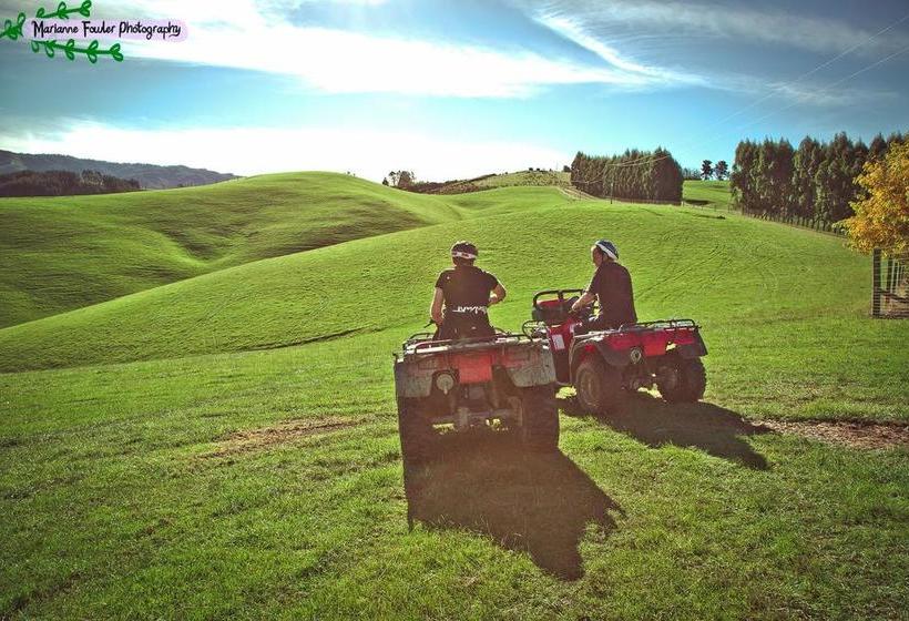 Aoraki Cottage B&b/farm Stay 6