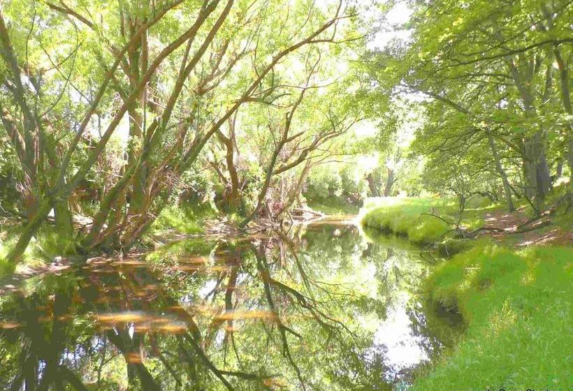 Aoraki Cottage B&b/farm Stay 7