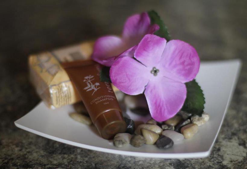 Bed and Breakfast Premiere Guesthouse 5