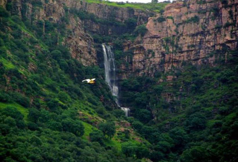 Tiger Valley Resorts By Nature Group 9