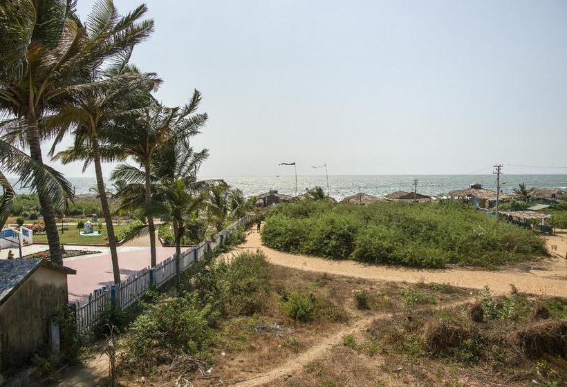 Hotel Oceans 7 Inn 14