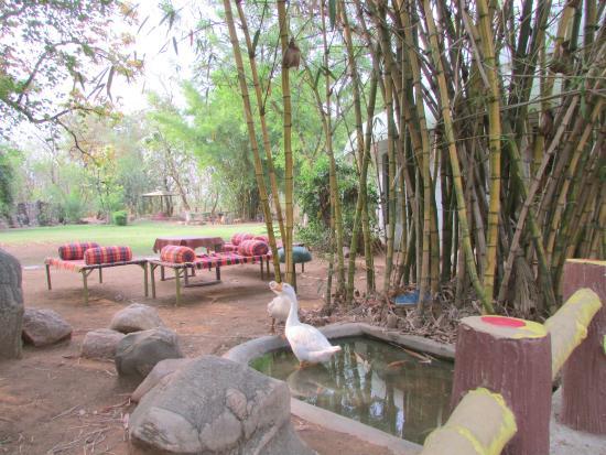 Resort Mowglis Den 7