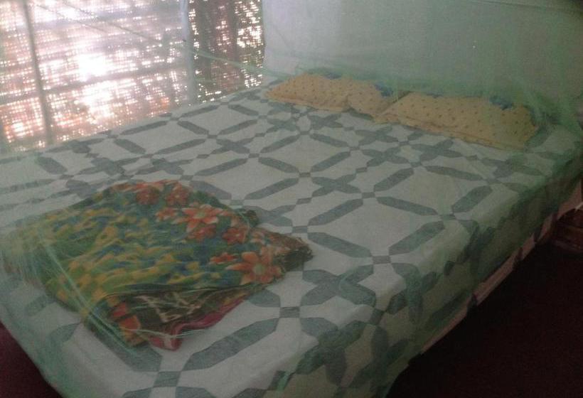 Chandra Resort Arambol